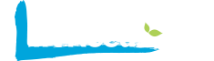 Office Needs
